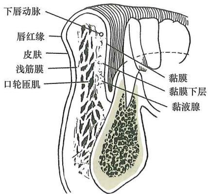07160520b1601892fdefdb43de0e6794e57bb3b24d68752e759cc64f743cded7.jpg