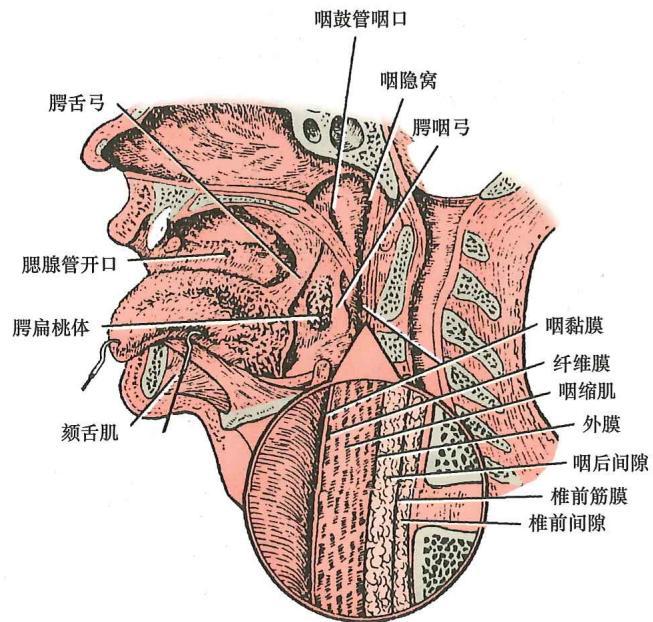 78651799040cf6bf694a755435a464ec0257856399f47442b44a8449cf99675d.jpg