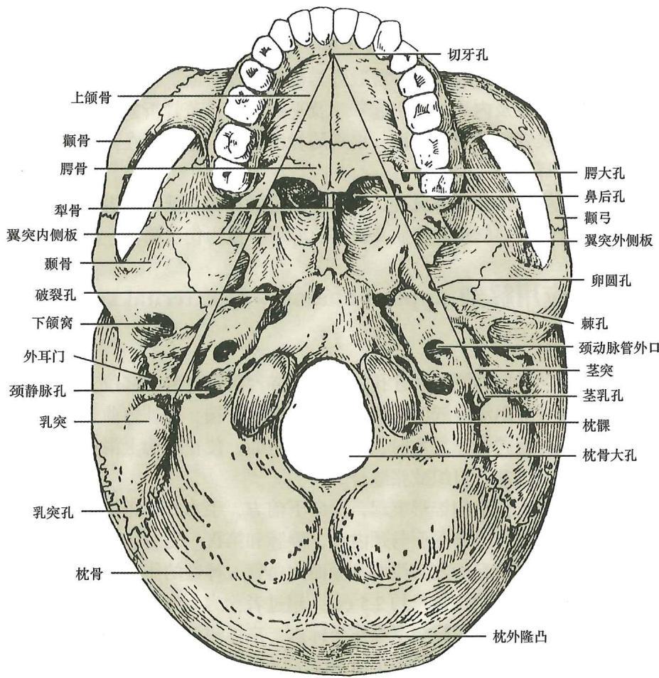 a2c61485e2157d2ae4ba7341a473cb67a749f49f6e0e7e058da8cf44f07f9145.jpg