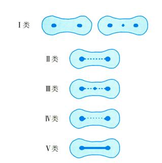 a4cce023e8295337c7da6064341fd85681c33661e0ec108abd42f6f09b15b492.jpg