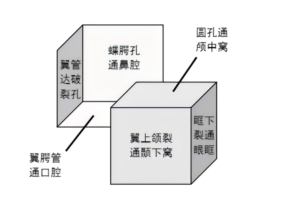 a5eea3aa1c5cf6c5a87fe635cc66a05240dd03ffa99f3c4b758ab16dadf706ca.png