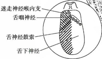 a77edd454c289084ac1b8b3f49f4929bff0bf166c48fdb3c8672ced1774926ef.jpg