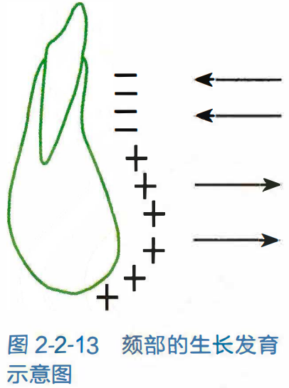 a8154d2f34fdffda30cb3b99e21df74c94fadc5b01a9b1f21e5b33eb183d7407.png