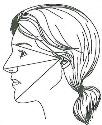 a633606187349066d91d27a82365e0a91b4232e76fb4cc16859e540e7a395dbd.jpg