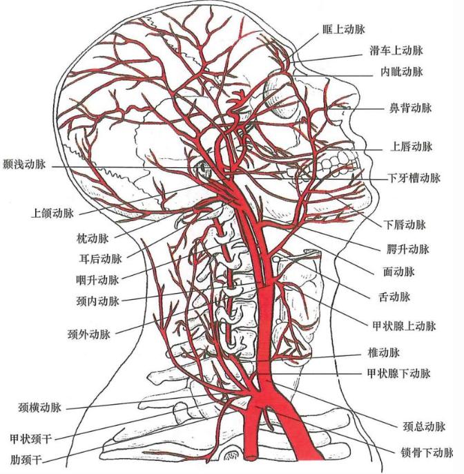 ab9c42f784a8c8d5658086b7113ed7a45f7b9cddfd1ecca9356285c4ae5deb48.jpg