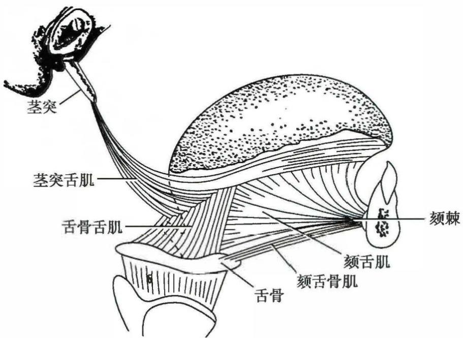 ad28d0064a8135be9ac7301c49bb9263467cb9d7abb37d65b2c4c852d53adda8.jpg
