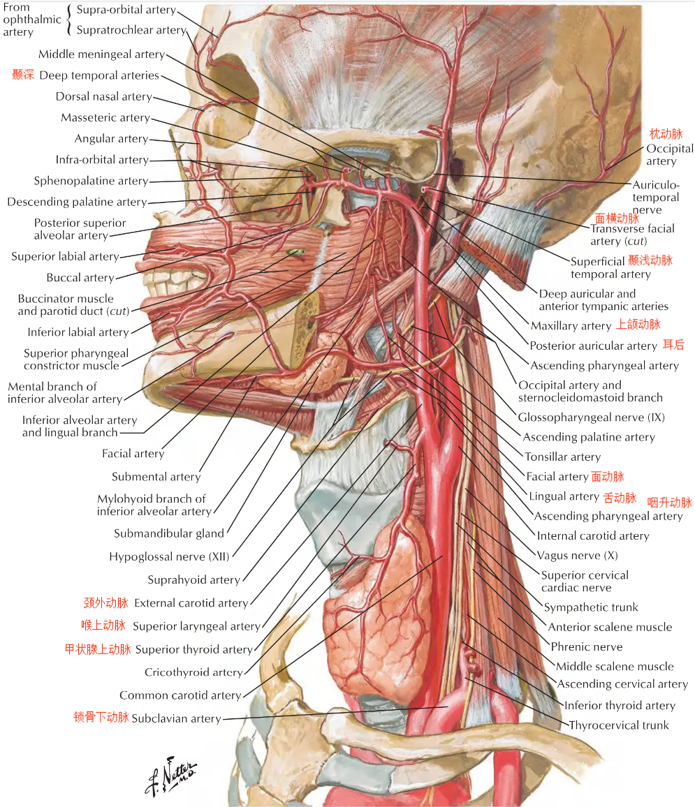 afa51efa3bb43787acc4d7ecdf176931ef6fbf5cd3ab8653531373ee12650efa.png