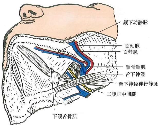 b1cc7f68d92900e2f83e931ac9d7eee1615566edbc8c896616bb258f6aae8900.jpg