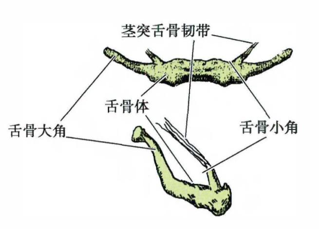 b16a1dcaad4c1f4693f36db3a83c1898f56a1711b34b38e3faefbd5cc55ea402.png