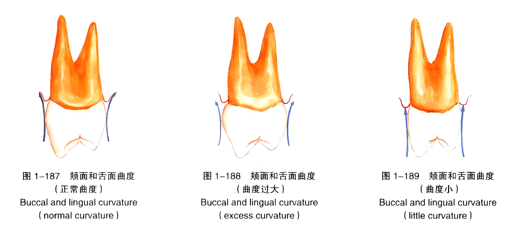 b21d9ad02f4f2aafd96a9c55d7bba15566d45b09d3069728f572ac7bb72e2192.png