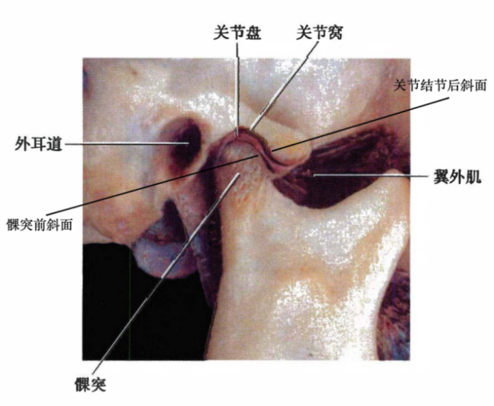 b180f8b1fd3ce846558ce54201c2389b12b4dd3d1369272b7c00e2116930be49.png