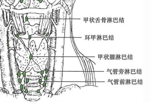 b192d4512b4ae8bde0880d90934f016dacbc90019b002a65b335078b3e15c6b4.jpg