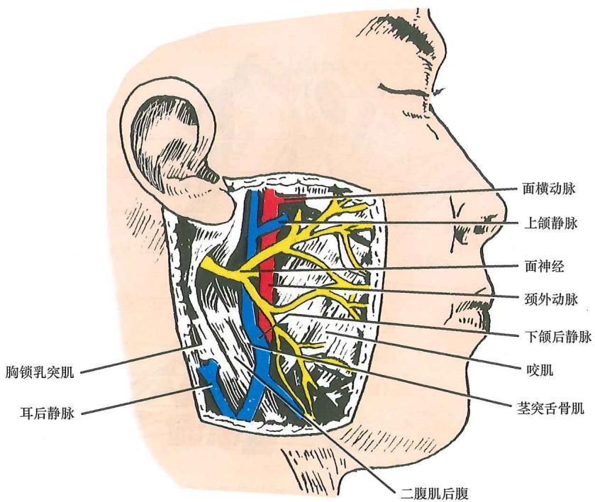 b193e834c27e9446b601085079fff3bb4452128280d3f379415c7d8d6ea56e3c.jpg