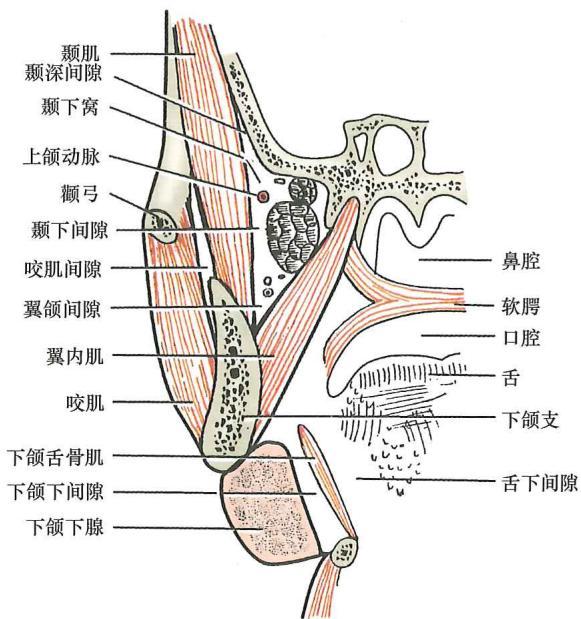b852fdfa340a6eaf8104cb1e73ae46e82af6aabc04017605b842e6f00adb28a6.jpg