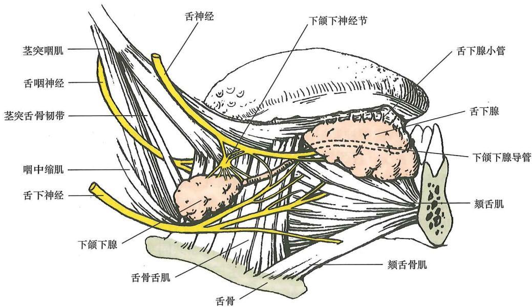 bb0d67383258df139eb8fc481a739d389c7c5abeb35431ab802adf4c8a459498.jpg