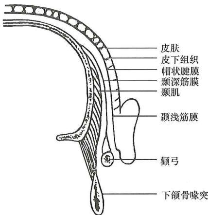 bc94d75eec7502b6b0ee73de05c3d9bae582f728df2b37f329233d1fbeebc6eb.jpg