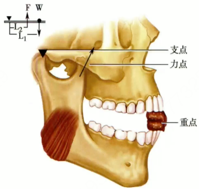 be284537836f99adef39944c255bee7aefde157a878f78c5781f802059adef0a.png