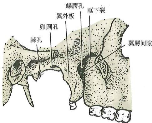 bf1f0719fa7870aa12982fb775e6ee5fec4d6e6cfe732efe3e308d2c9b49c199.jpg