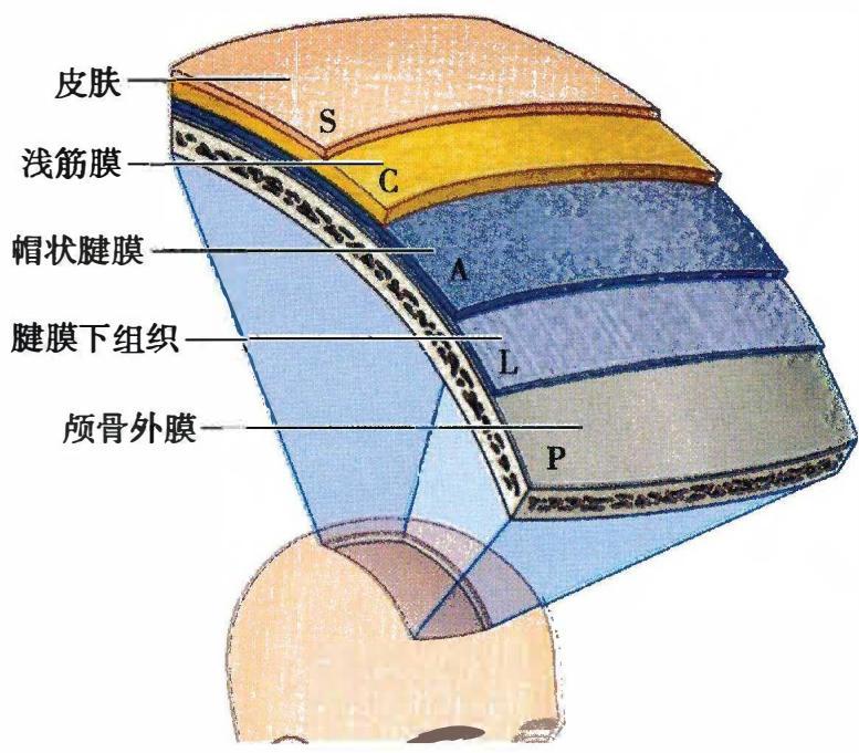 c06c3b79c66ecf1990e5aec1e4a19cc1191d68f7099e0ee31be0e8009c28ed3f.jpg