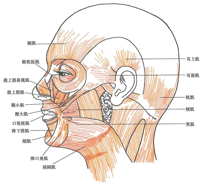 c57b755d46600c1e3c0a780e0fc49e9006e8974219db775adc308912e0b54bb9.jpg