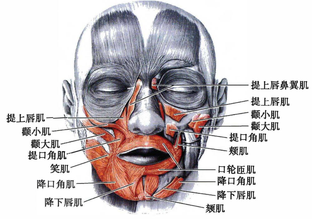 c4513e31d61318c539118e2a076e0137fac97759725982b7f81083942b05ca0e.png