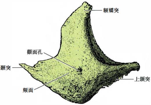 ce1d34099e2833c653bd72f497ccba71b610560b8e1194acb2c53e7666333696.jpg