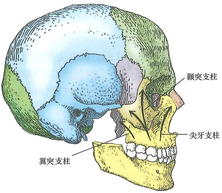 d4c6f516a8d5ddbc9fbb33a429f1c7ceef8c9e11391d740b42c9b3caff7e5ac3.png