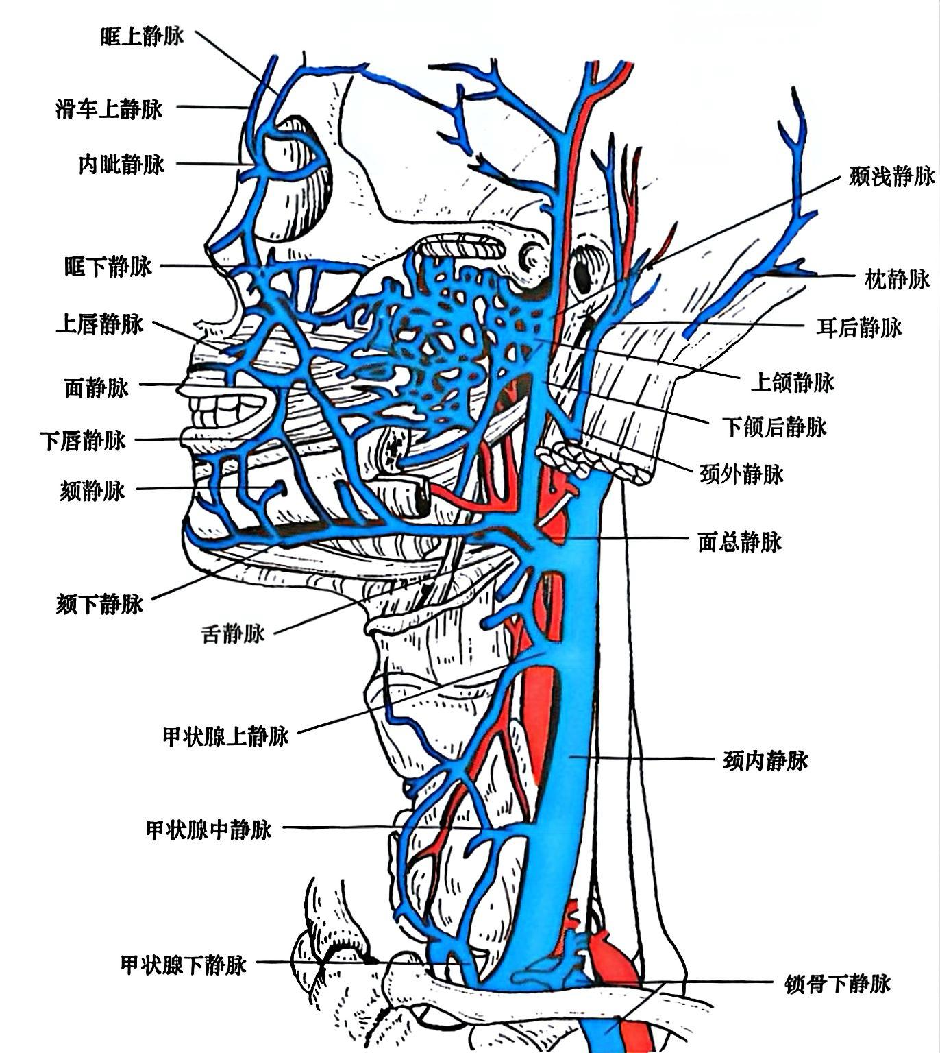 d5cb221ca4bd33c50ff079667d617420902bafeb3e3679b395bdb90b0a5d2db2.jpg