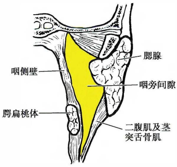 d05599e9daaacdc213290d34d971caa42dd9be35d6c8c251b865539d54b4d2ac.jpg