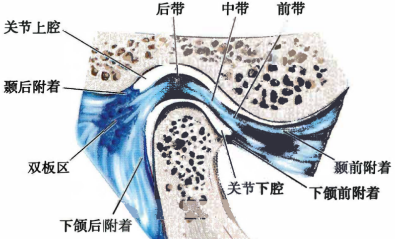 d6633b689638b62fce6752242c44419e807ce7b242e3a4434e974c7c875f87c3.png