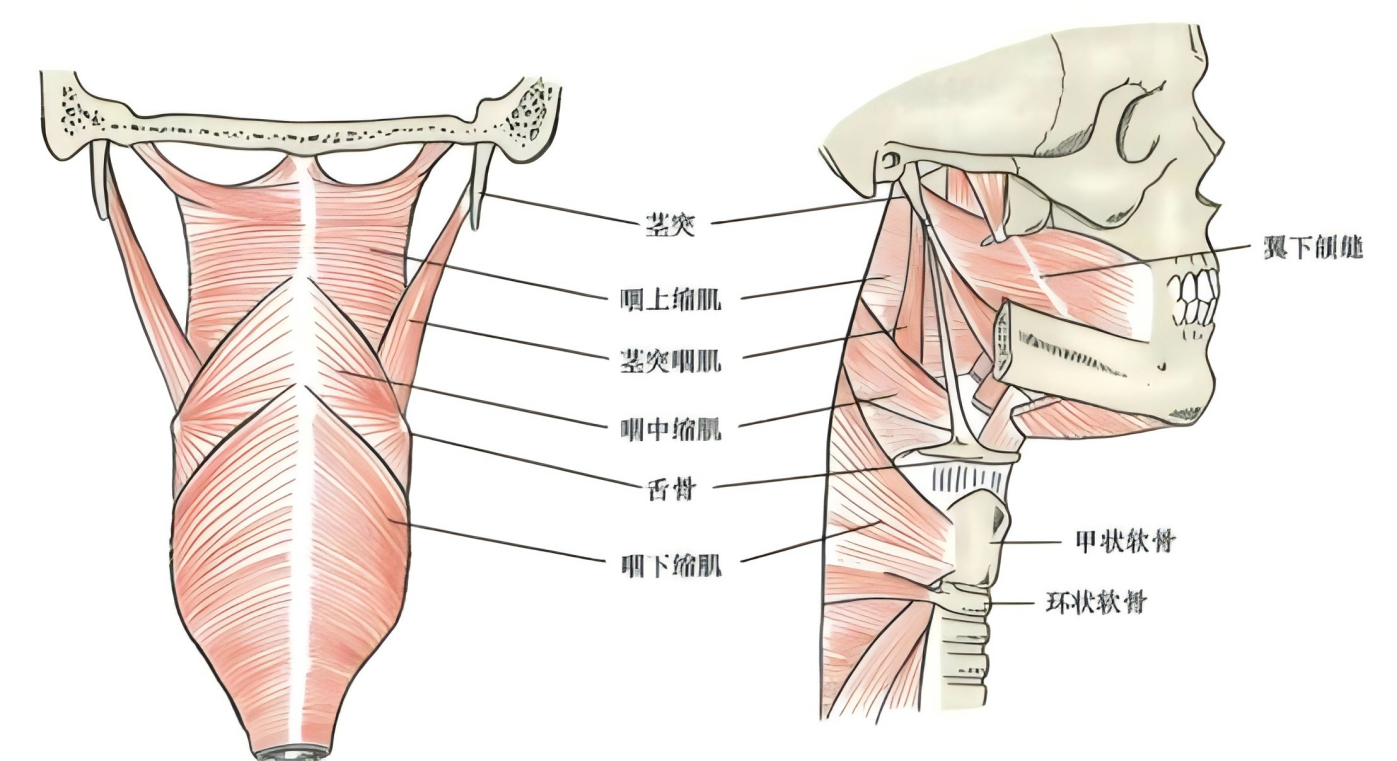 dc5d886b4fd310977f3f4acb529f8d84058cfa0f63c62829cd20257f9e8fbd0b.png
