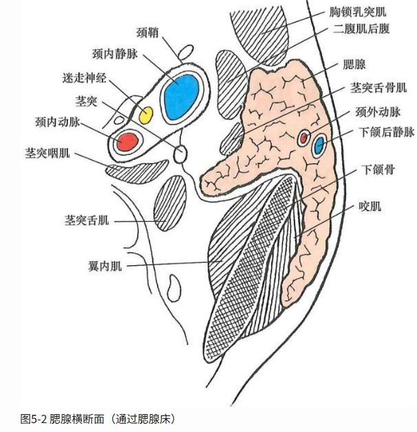 df4fe8f59950d55c6c6afc7fd5c96a46110065ba2428b606d234aef81dd7dcae.jpg