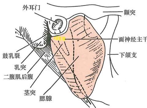 df95856b75b6b9707775eb1ccd9dd3a462c5c0a38ccb2e420d1e70d3f7a831df.jpg