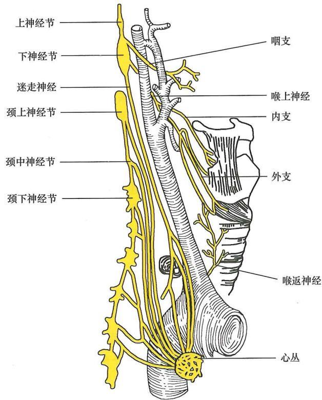 e7b123544c5dab47000342bd890ae7f3b38b336f079e6dcc86421ac59630a7f2.jpg