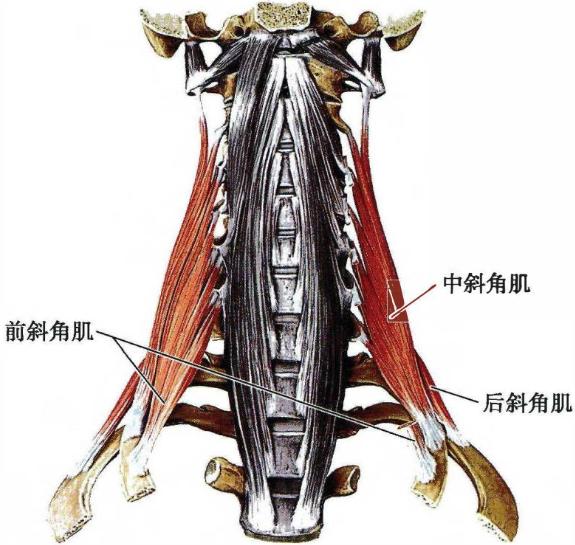 e076eba627e7e275bf863ded4d3c9ebcef694eeff33f67554900e280c8ad2d15.jpg