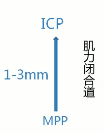 ec93249b4c454ec7b3f3c5ccaa9dac823ba3cd070e31d08ad3219d143795161c.png
