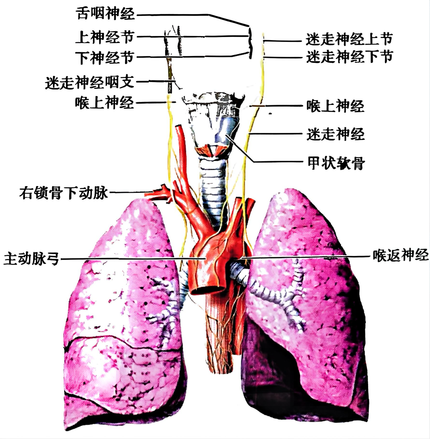 f5ccdb67e3a219f0e2d604304f83a94528e774c13541bf5cd22e122c2689faea.png