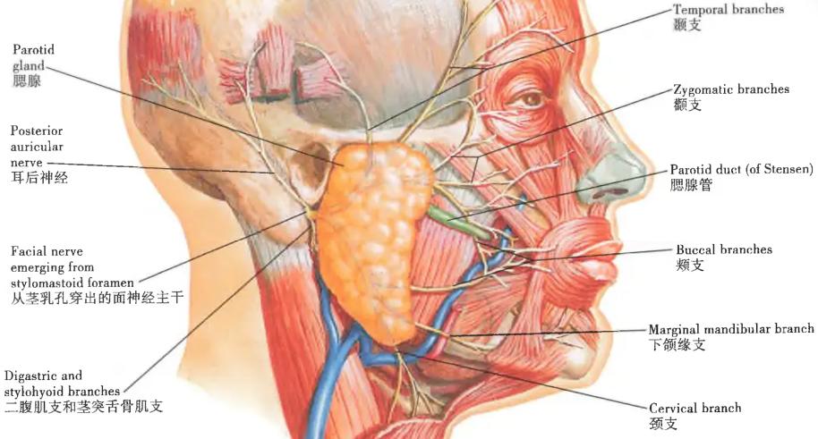 f9c435cb138db49ac543b05417d62c3cfb32f508e582a006b059ba2c8eb94e3a.jpg