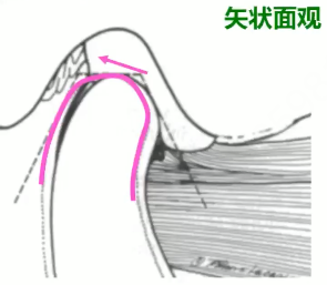 f49e5c4cc875fad3d0bafb83c566ee82174a857865e9c26363cfb64bf6b71d72.png