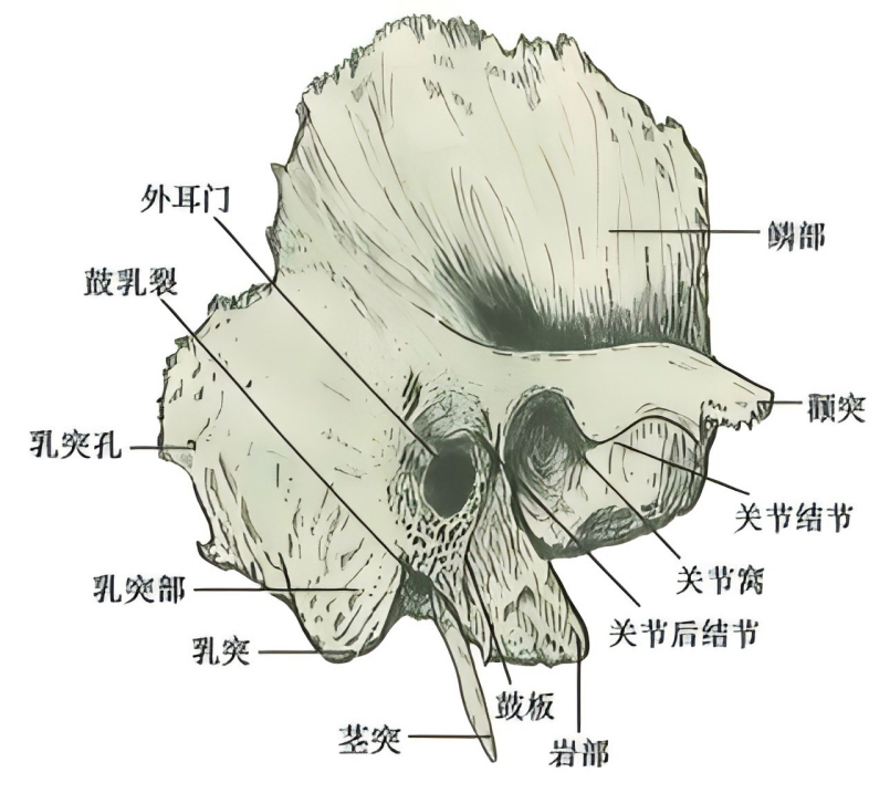 f371adaa94358482c15fe2c1e0fbd638ba620d067cf7bbf80da1acbc3c7bece9.png