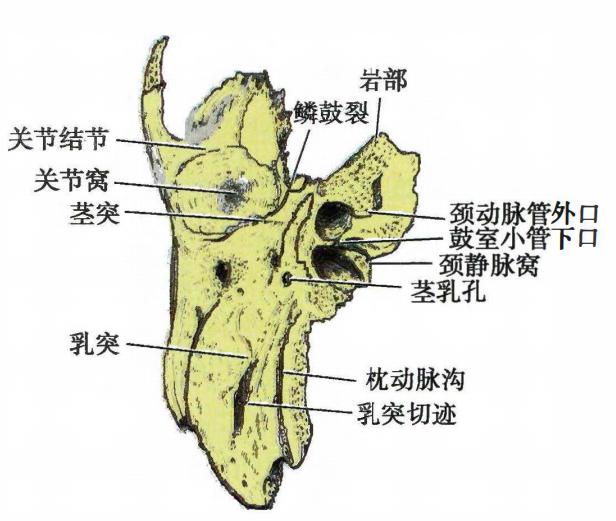 f4517b56e6e5c30d64f68e05a09ed518a2a91af87849f0d50f5637c8a25b4512.jpg