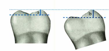 fc3894543ddb8f3ace5b039e5e925a8f6a467d434e82b9ac05ecd49f0f6130ad.jpg
