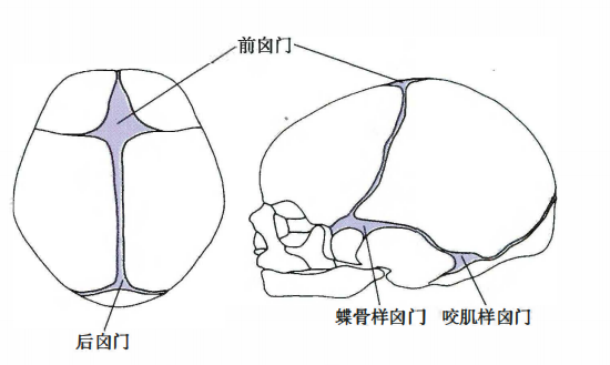 Pasted image 20260712230206.png