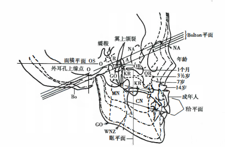 Pasted image 20260712064413.png