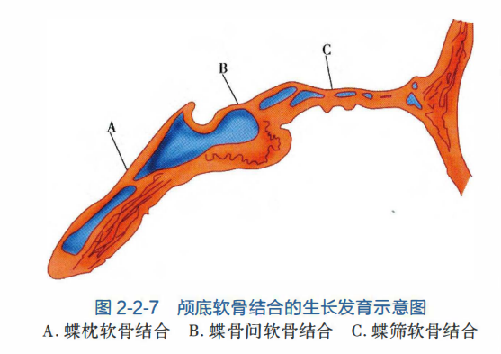 Pasted image 20260712064522.png