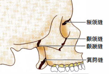 Pasted image 20260713220010.png