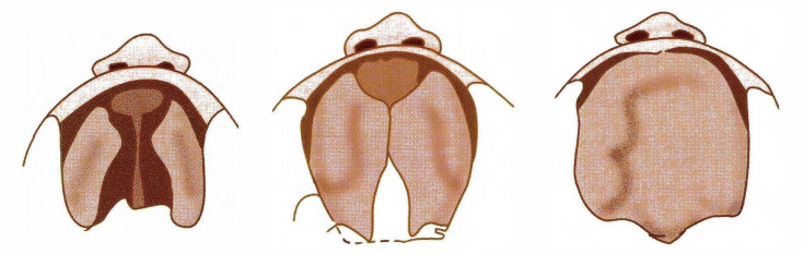 Pasted image 20260712225306.png