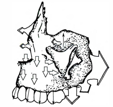 Pasted image 20260712232943.png