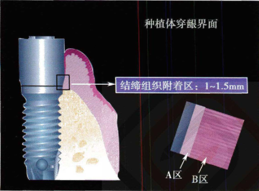 Pasted image 20260901202825.png