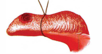 Pasted image 20260902082822.png